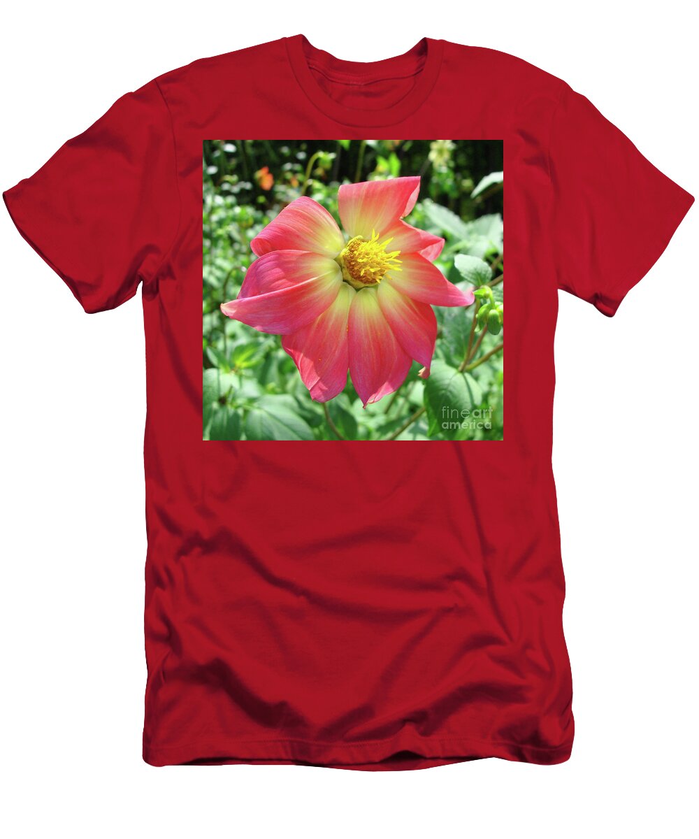 Dahlia T-Shirt featuring the photograph Dahlia 14 by Amy E Fraser
