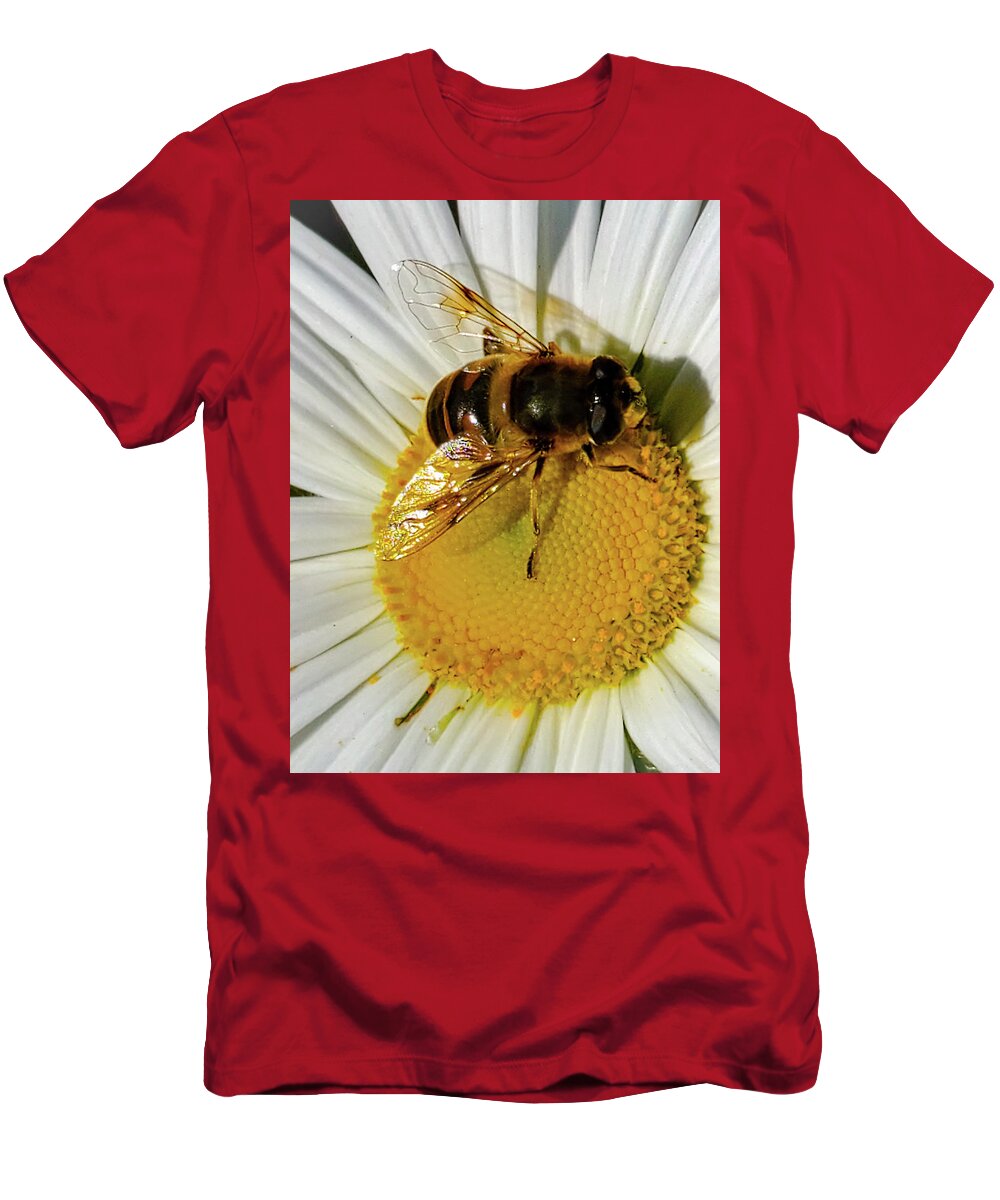 Bee T-Shirt featuring the photograph Dinner plate by Bruce Carpenter
