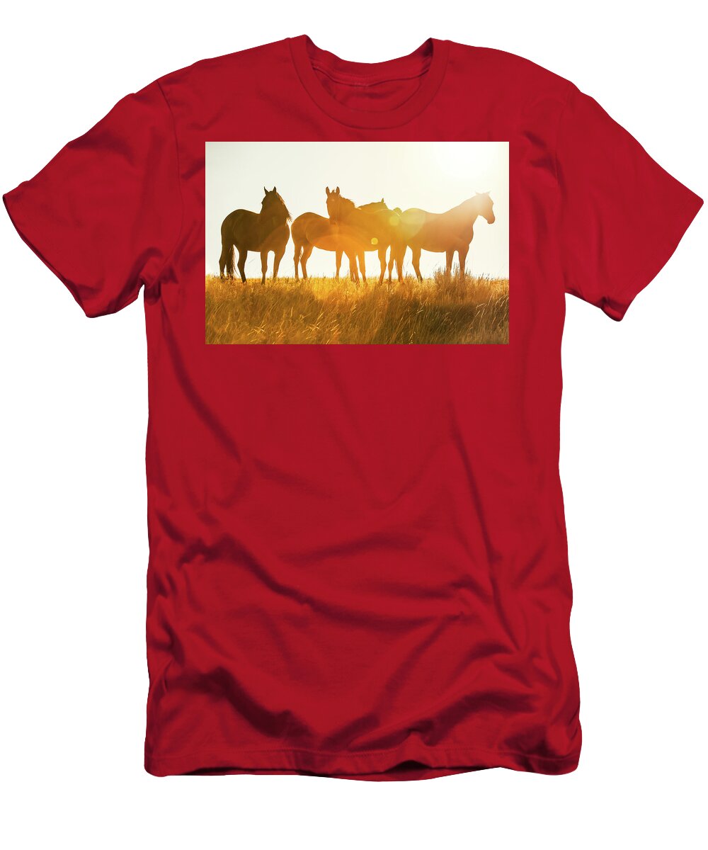 Horses T-Shirt featuring the photograph Equine Glow by Todd Klassy