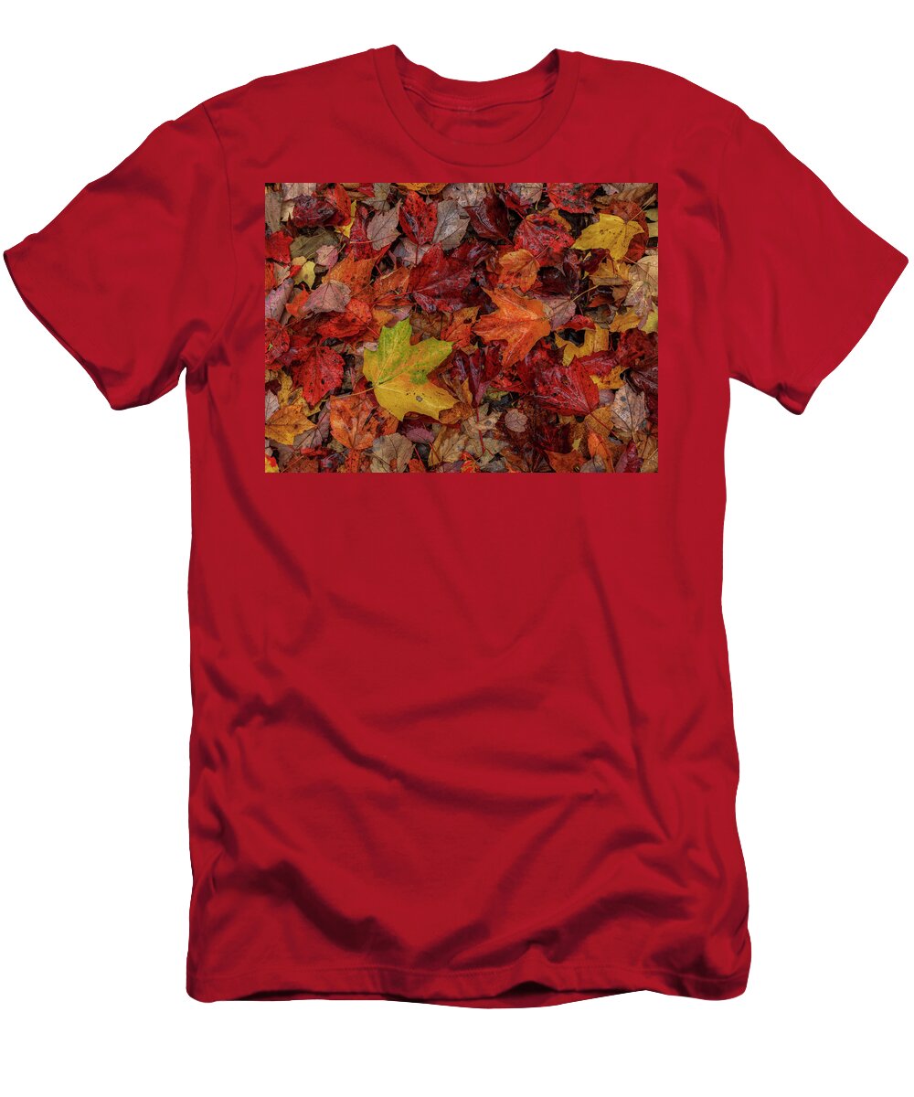 Autumn T-Shirt featuring the photograph Fall Colors by Rob Davies