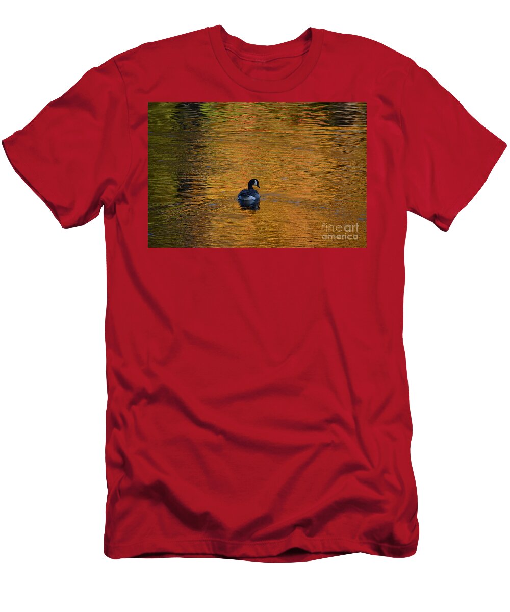Geese T-Shirt featuring the photograph Goose Swimming In Autumn Colors by Dani McEvoy