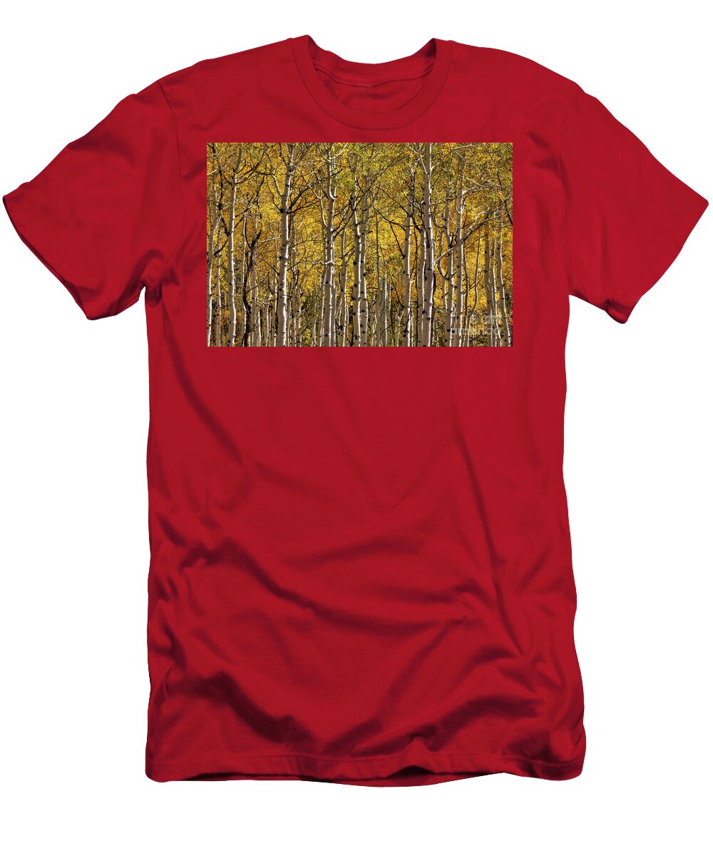 Colorado T-Shirt featuring the photograph In The Thick Of Aspen by Doug Sturgess