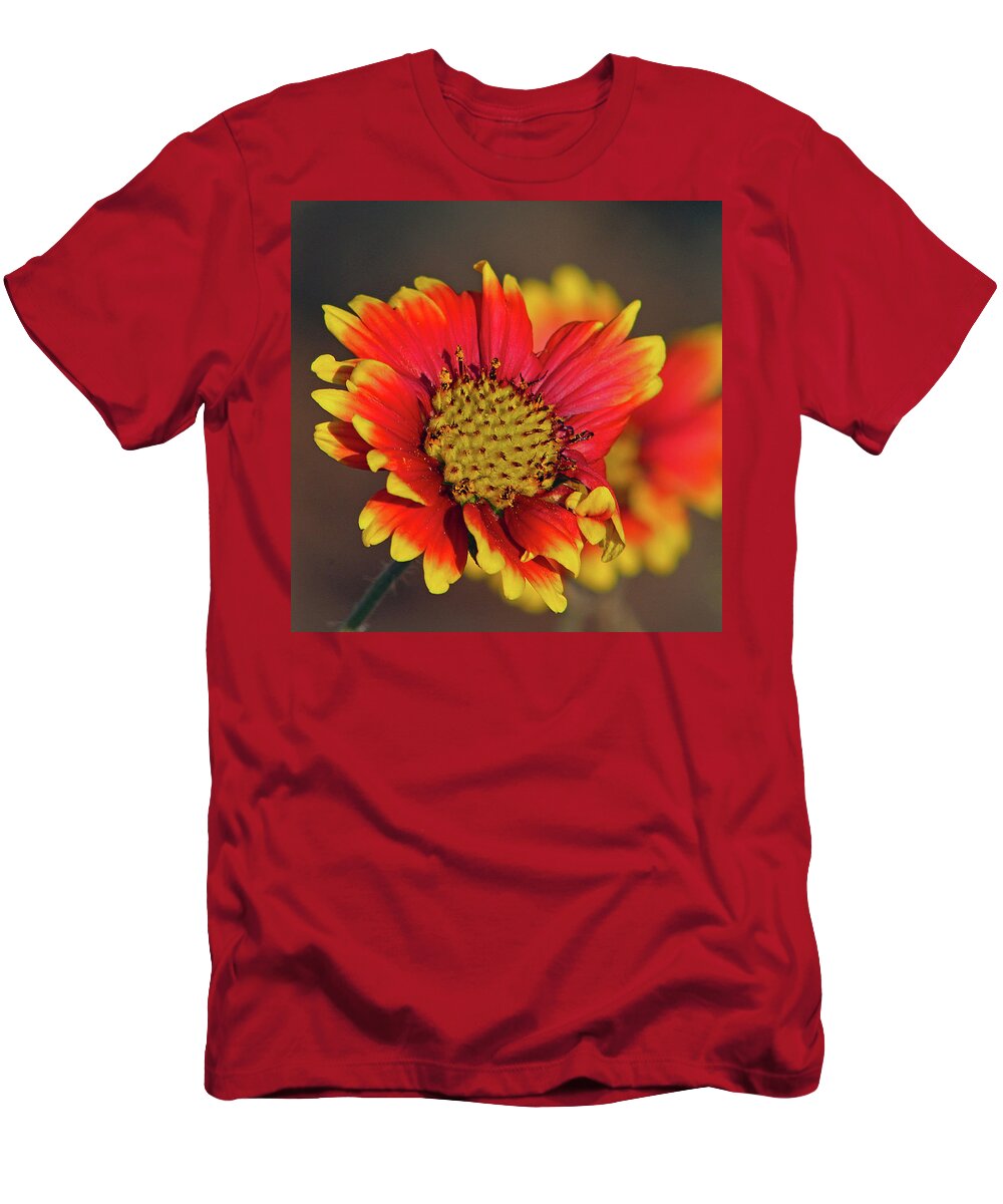Flower T-Shirt featuring the photograph Indian Blanket by Michael Allard