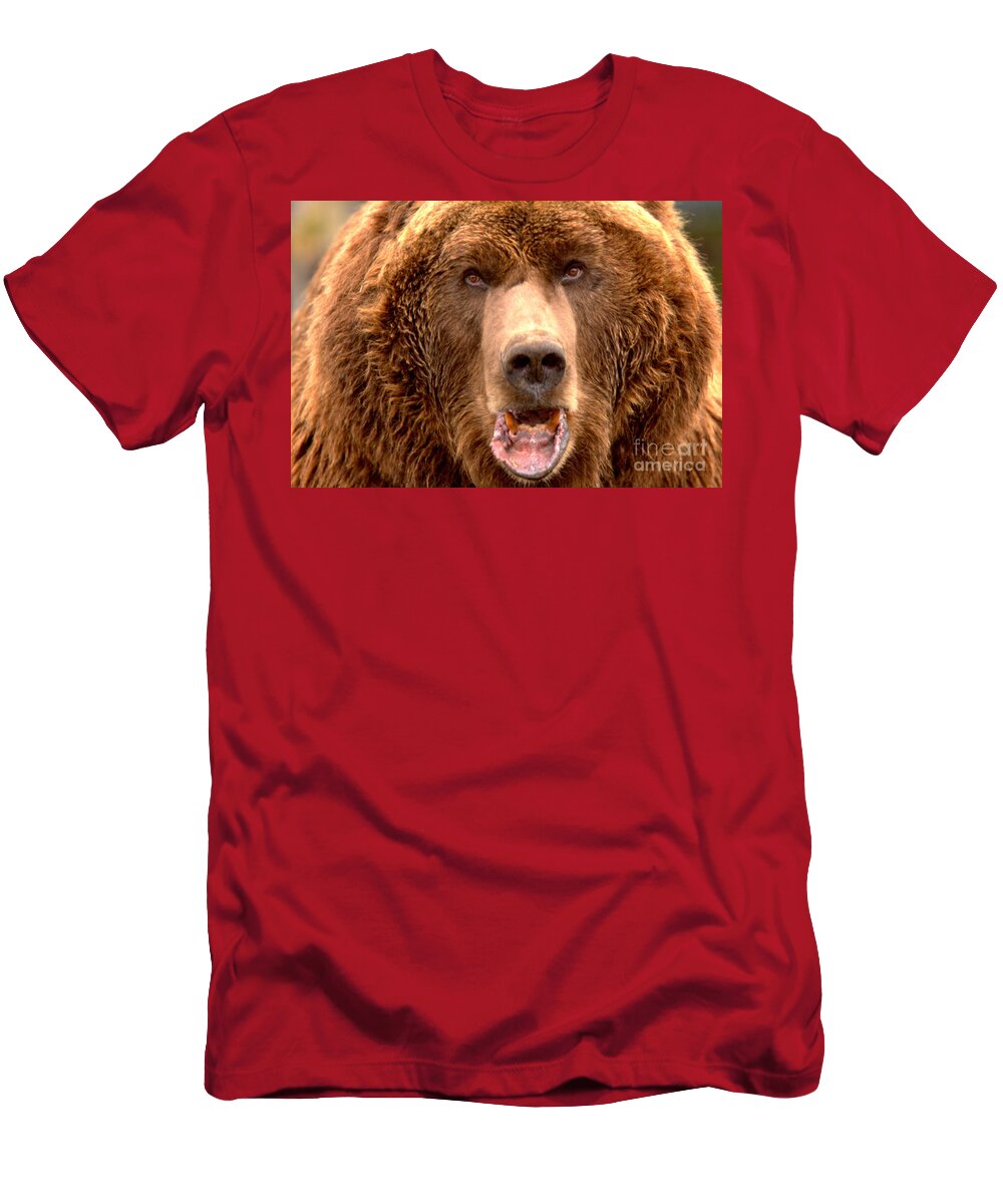 Brown Bear T-Shirt featuring the photograph Like OMG, DId You See That Tourist by Adam Jewell