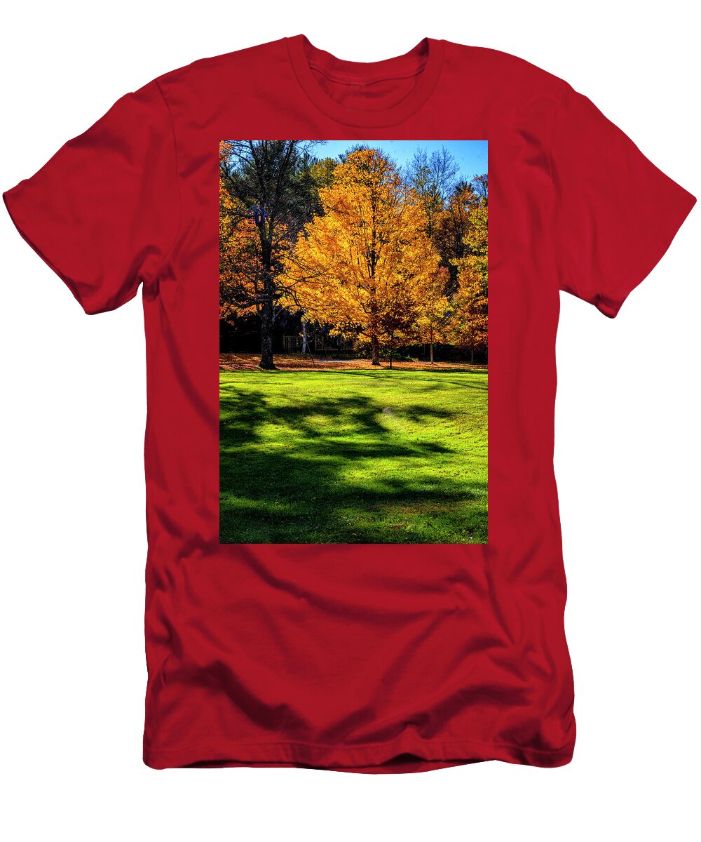 Hayward Garden Putney Vermont T-Shirt featuring the photograph Maple Tree in Fall Color by Tom Singleton