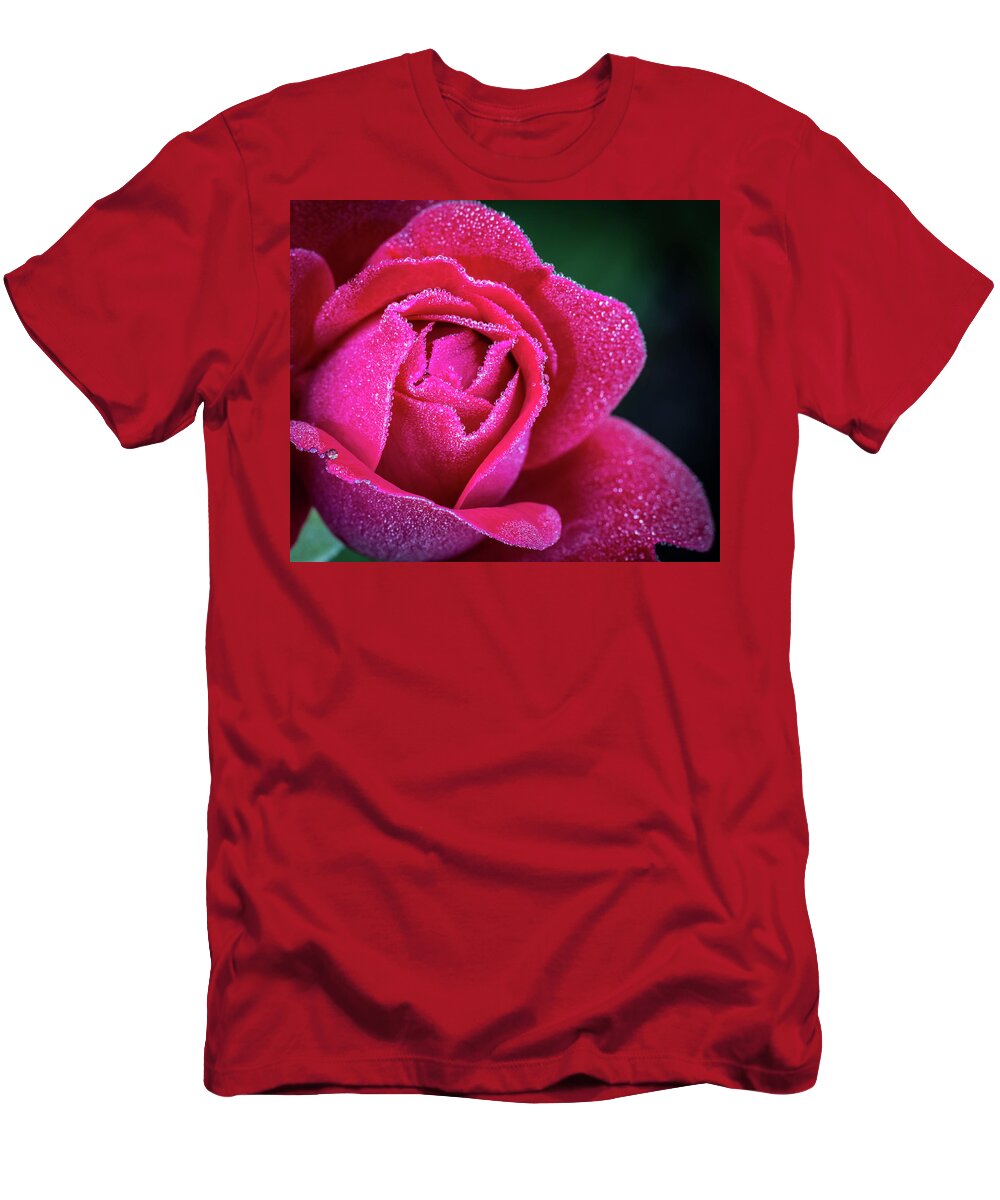 Rose T-Shirt featuring the photograph Morning Rose by Brad Bellisle