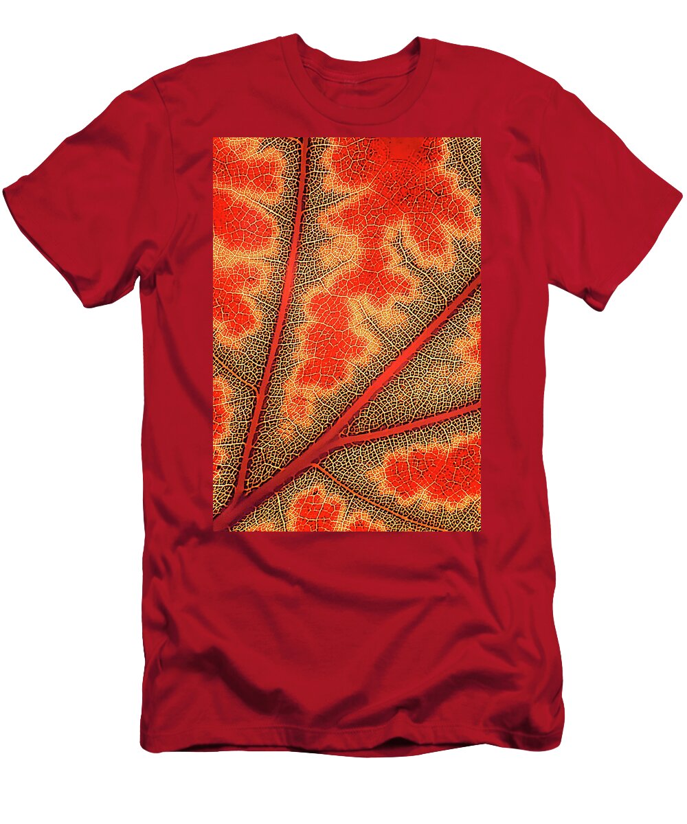 Fall T-Shirt featuring the digital art Nature's Road Map by Randall Dill