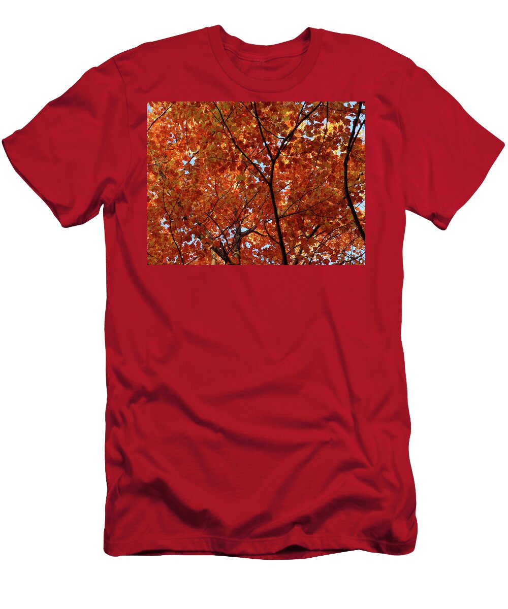 Autumn T-Shirt featuring the photograph Orange everywhere by Silvia Marcoschamer