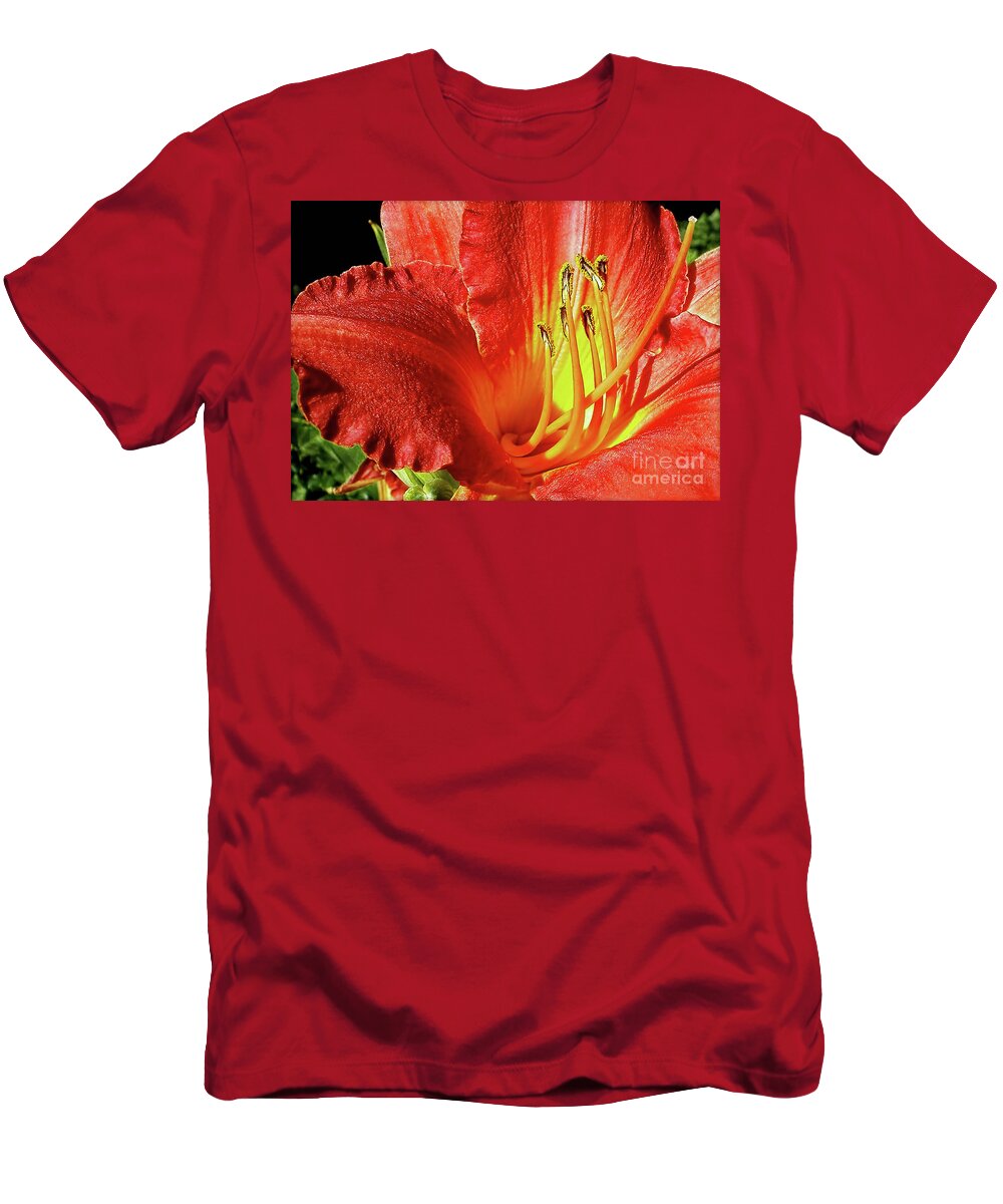 Orange Red Day Lily T-Shirt featuring the photograph Orange-Red Day Lily by Kaye Menner