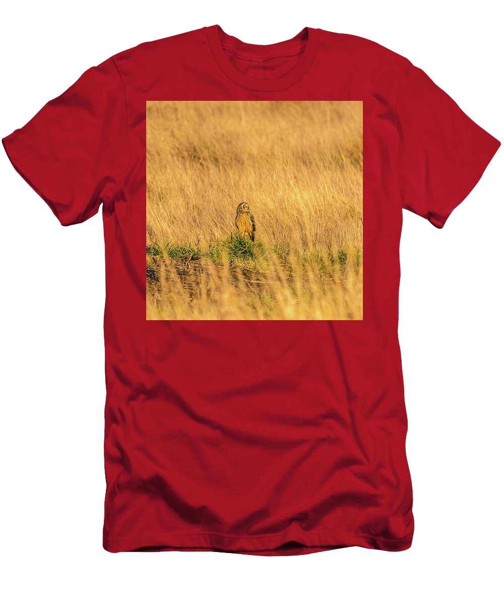Animal T-Shirt featuring the photograph Owl Standing in Golden Field by Marv Vandehey