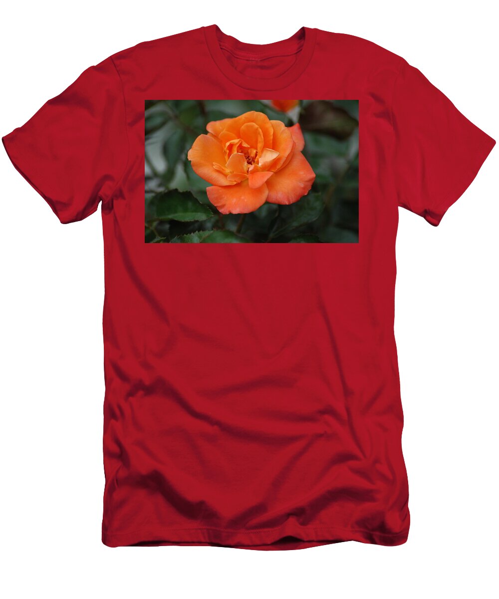 Flowers T-Shirt featuring the photograph Peach Rose by Ee Photography