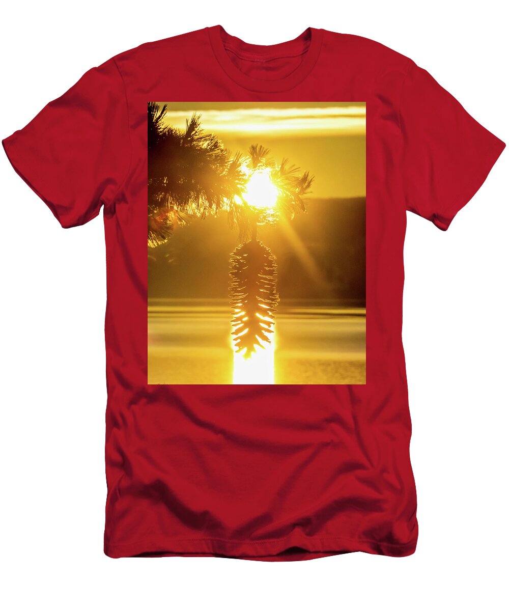 Sun T-Shirt featuring the photograph Pine cone fire by Martin Gollery