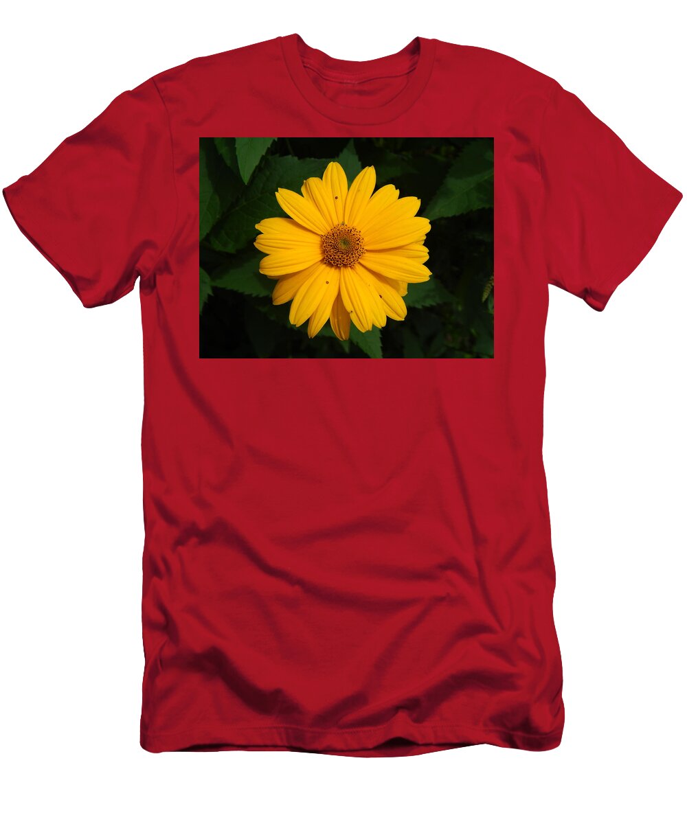 Garden T-Shirt featuring the photograph Plants and flowers in the garden and the garden by Oleg Prokopenko