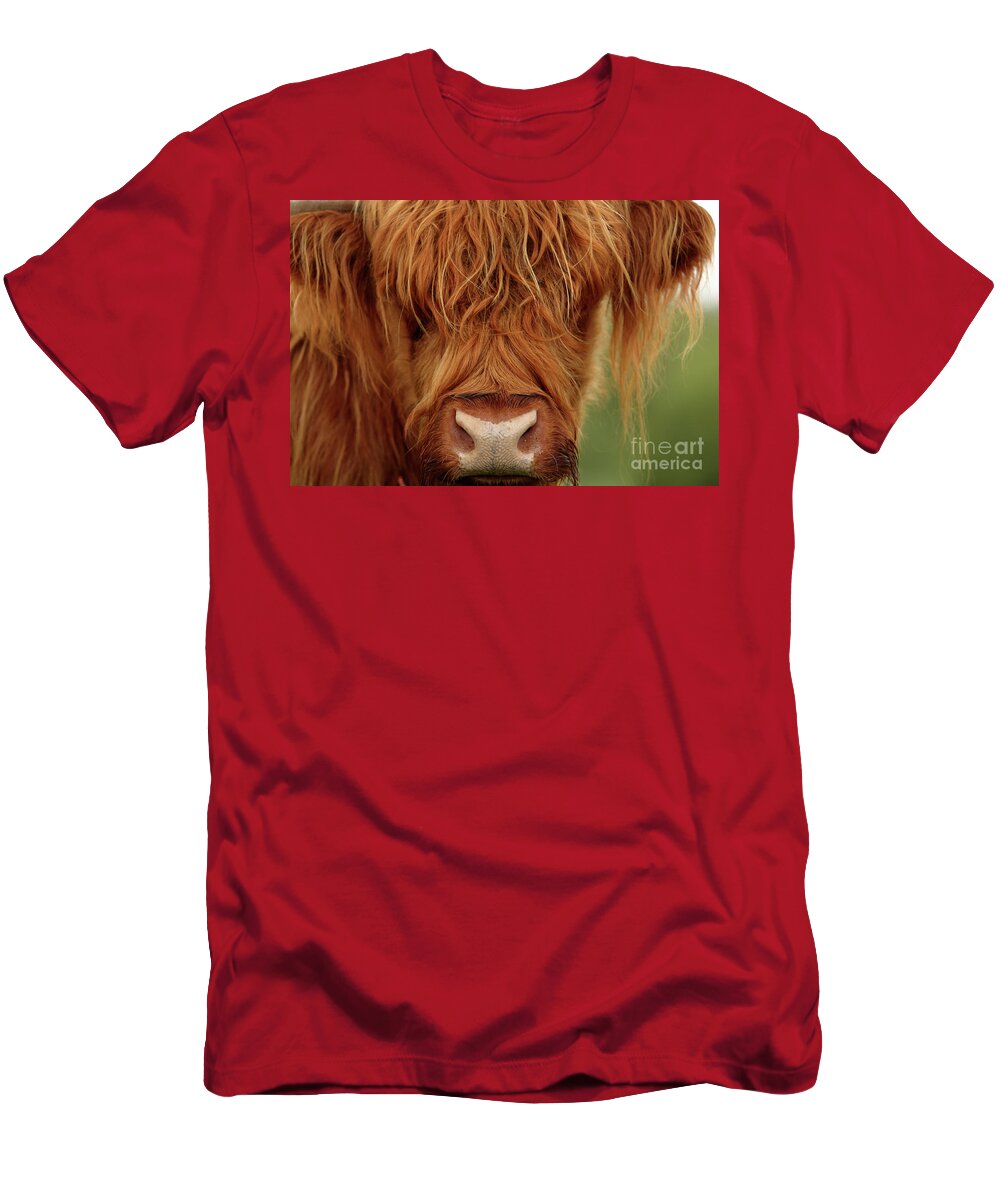 Highland Cow T-Shirt featuring the photograph Portrait of a Highland Cow by Maria Gaellman