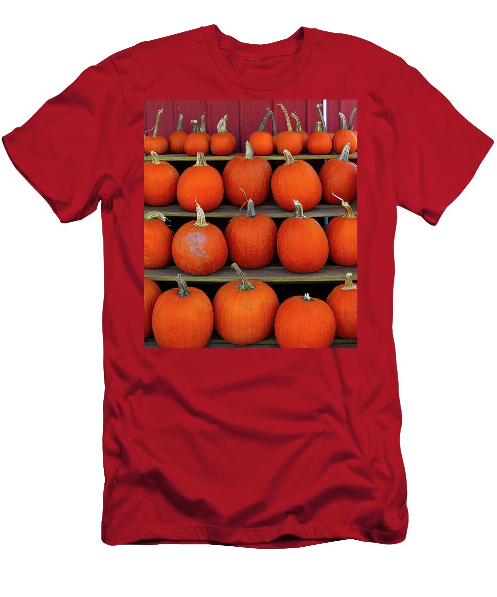 Pumpkins T-Shirt featuring the photograph Pumpkins in a Row by Linda Stern