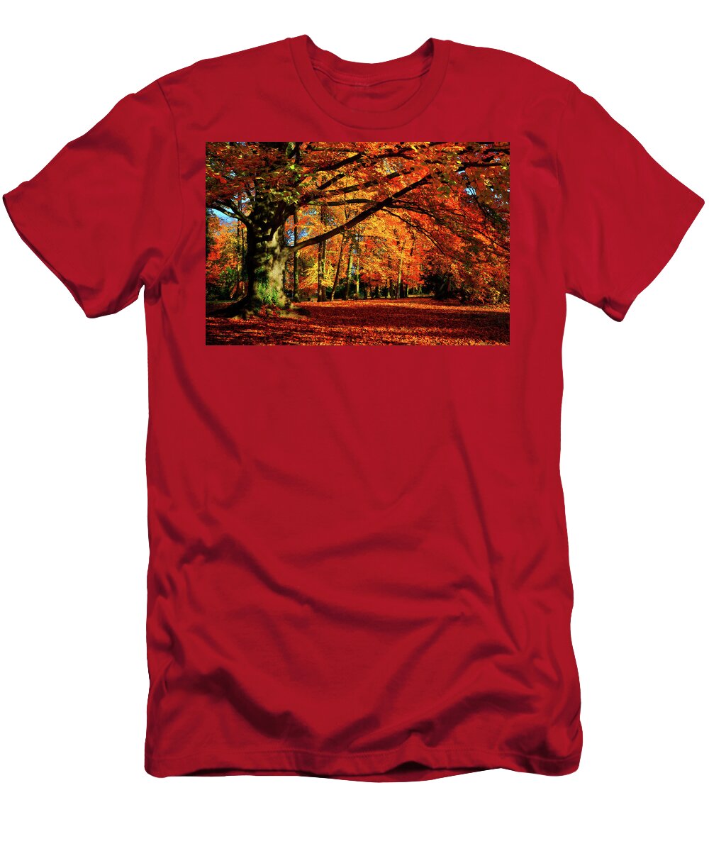 Autumn T-Shirt featuring the photograph Red Autumn by Philippe Sainte-Laudy