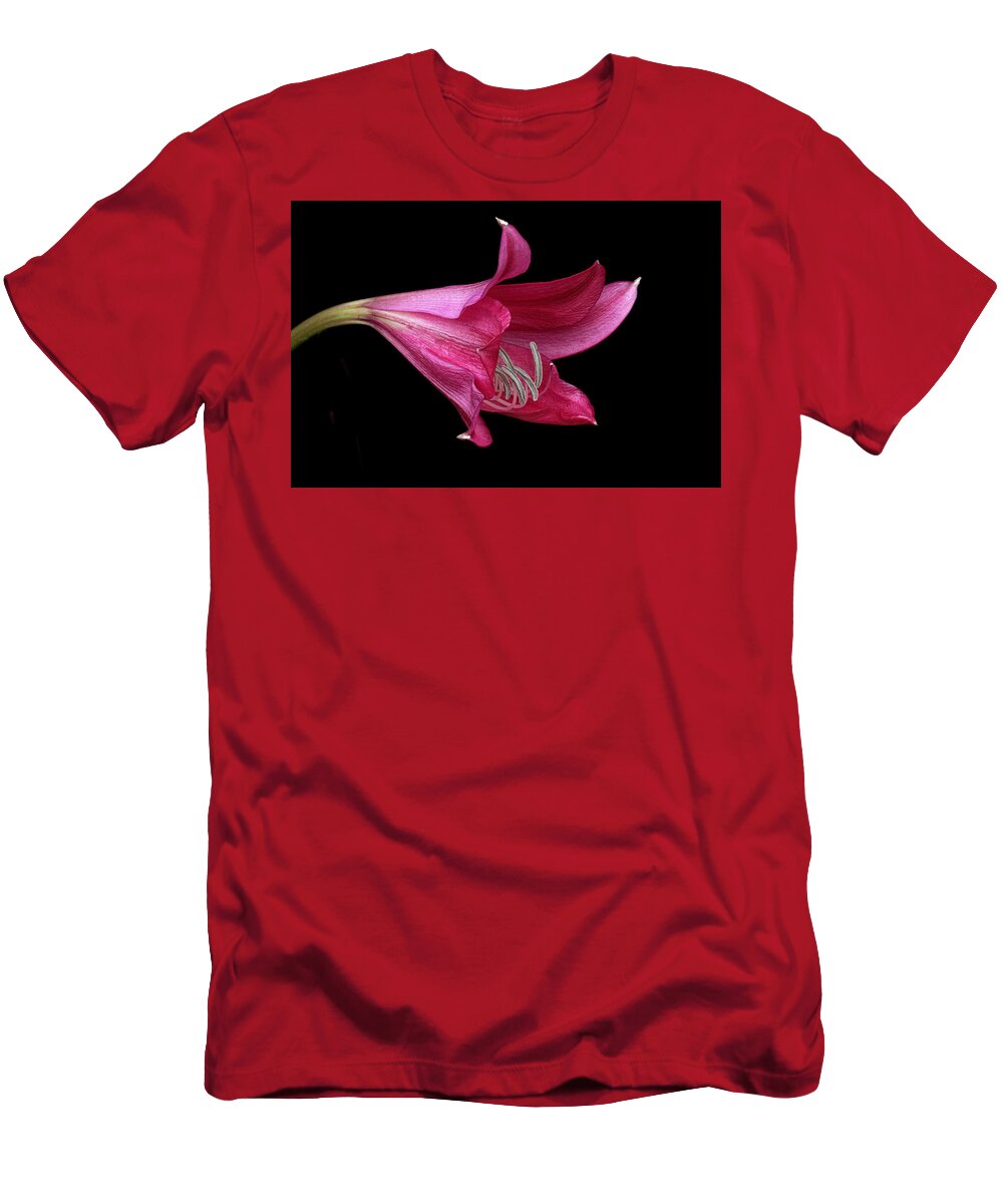 2019 T-Shirt featuring the photograph Red Easter Lily by Ken Barrett