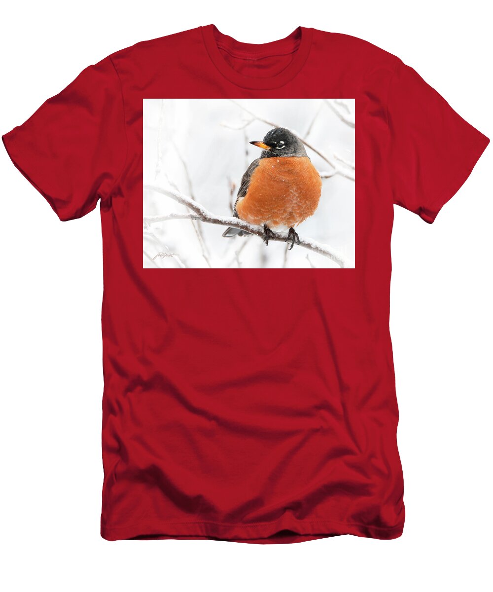 Robin T-Shirt featuring the photograph Robin in Winter by Bon and Jim Fillpot