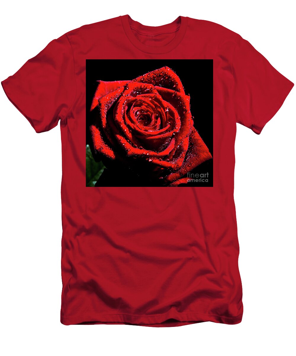 Rose T-Shirt featuring the photograph Rose by Gunnar Orn Arnason