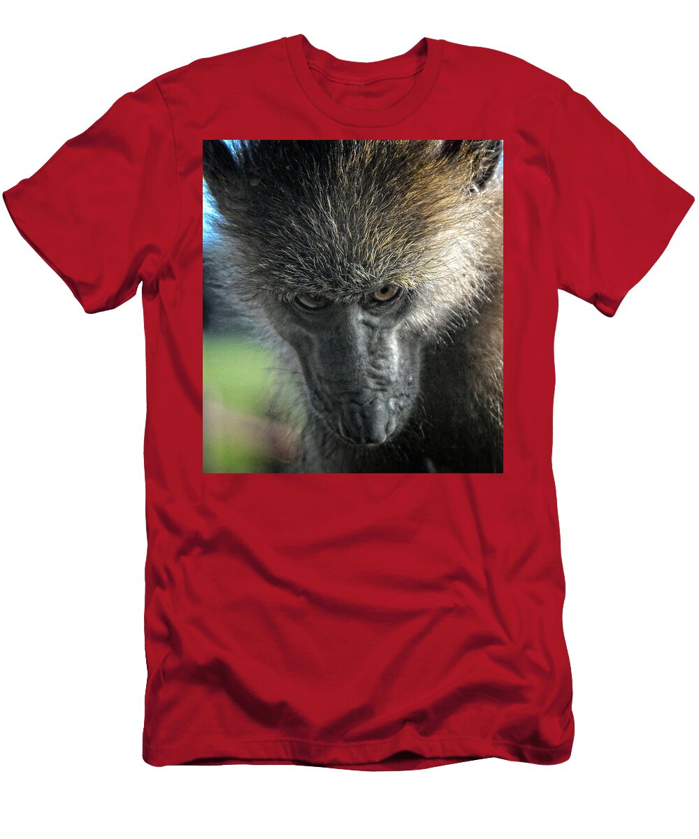 Monkey T-Shirt featuring the photograph Serious Macaque Monkey by Doc Braham