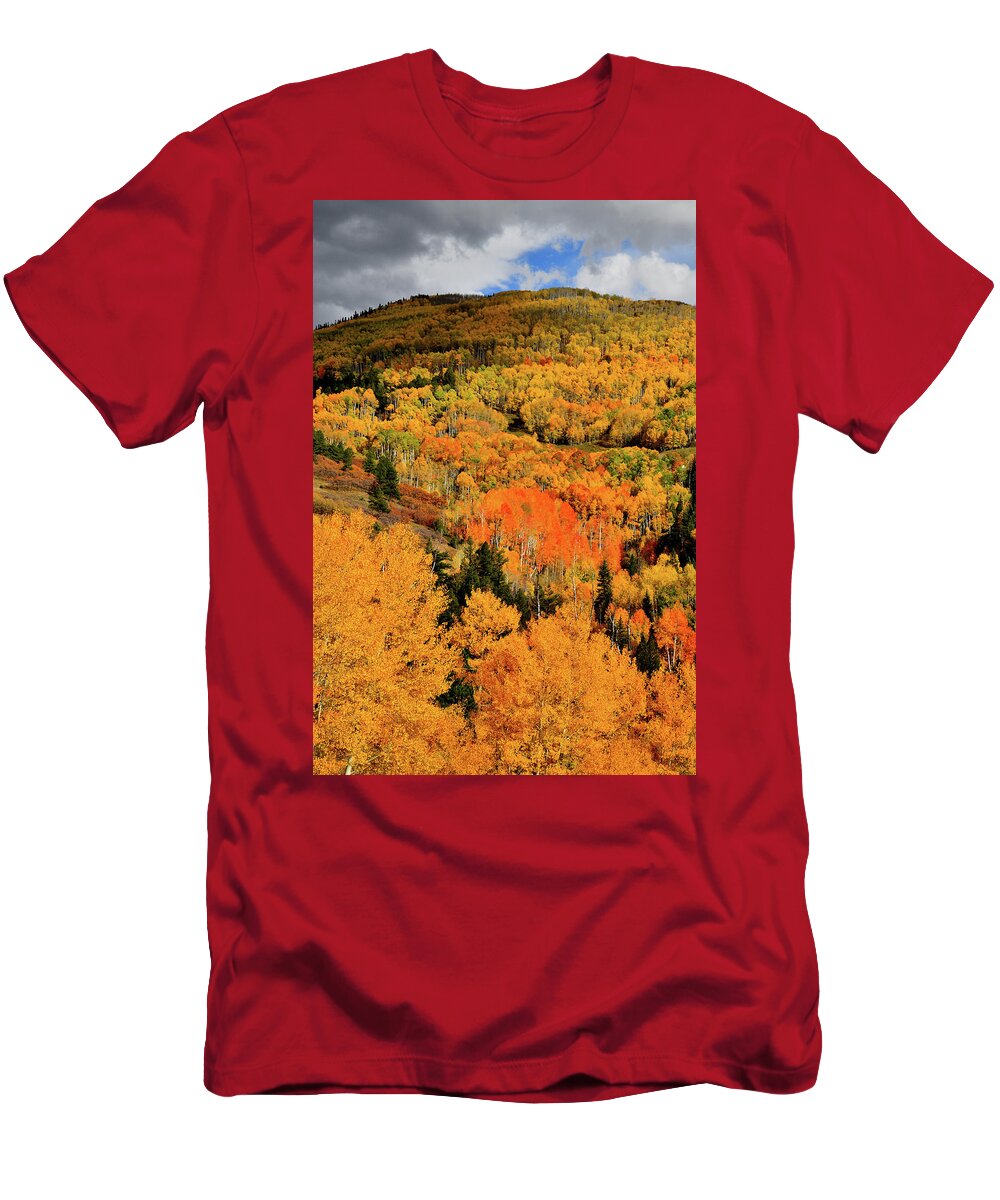Last Dollar Road T-Shirt featuring the photograph Shadow Comes over Sunlit Fall Color along Last Dollar Road by Ray Mathis