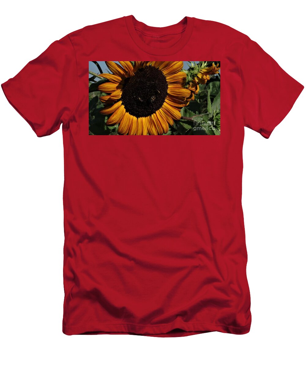 Bright Burgundy Sunflowers In The Summer Garden.#sunflower Five Feet Or More In Height T-Shirt featuring the photograph Sunflower 4 by J L Zarek