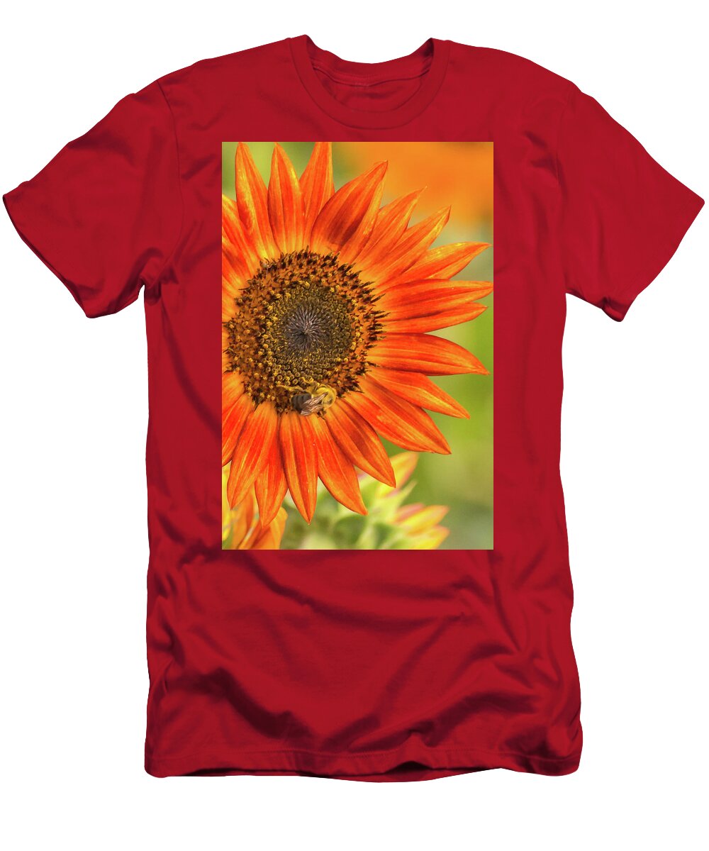 Sunflower T-Shirt featuring the photograph Sunflower Glory by Dorothy Cunningham