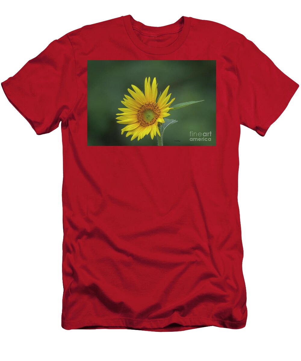 Sunflowers T-Shirt featuring the photograph Sunflower Peaking and Visitor by DB Hayes