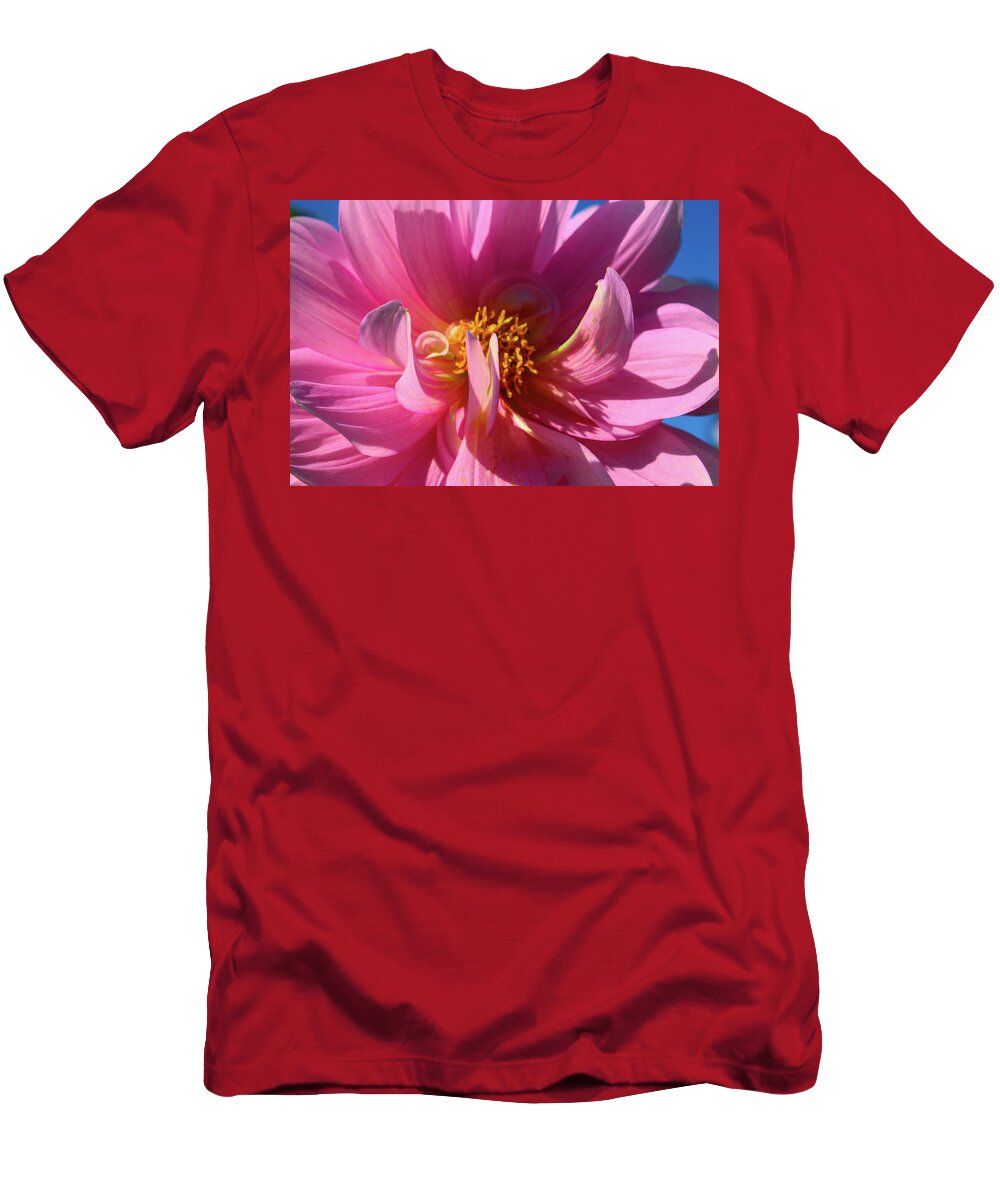 Floral T-Shirt featuring the photograph Super Pink Dahlia by Cathy Anderson