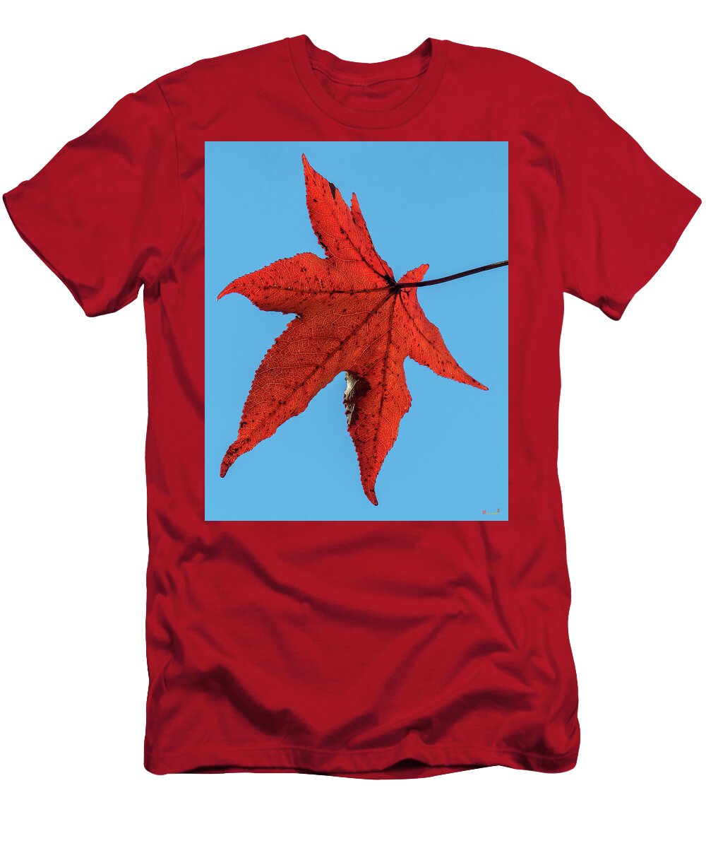 Sweetgum Family T-Shirt featuring the photograph Sweetgum Leaves DF008 by Gerry Gantt