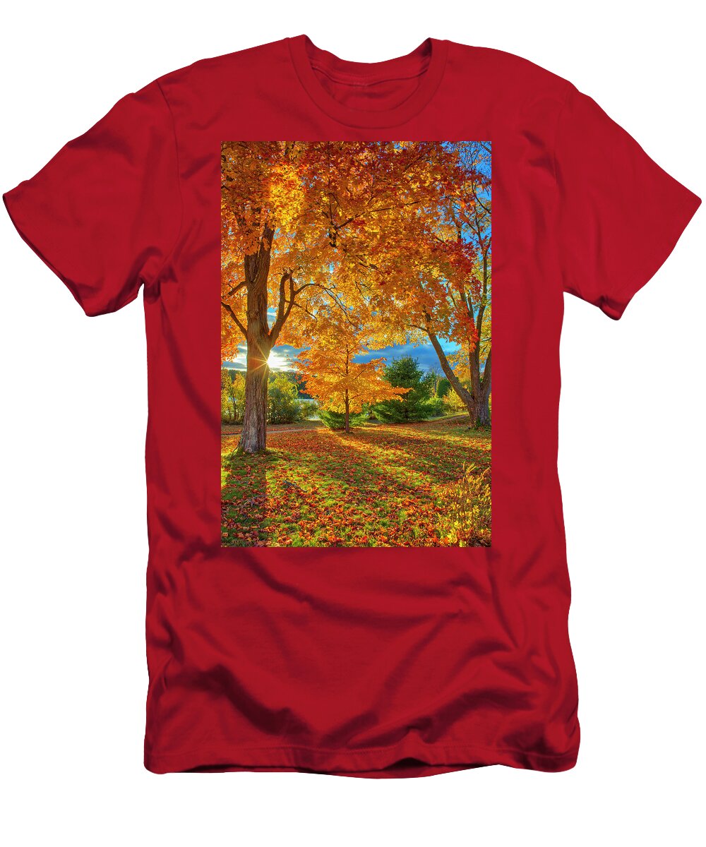 New England Fall Foliage T-Shirt featuring the photograph Tree Magic by Juergen Roth
