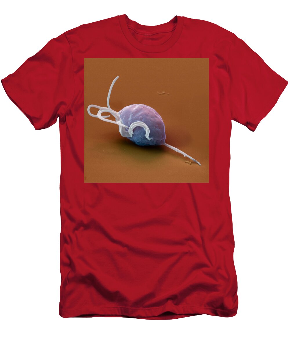 Close-up T-Shirt featuring the photograph Trichomonas Vaginalis by Oliver Meckes EYE OF SCIENCE