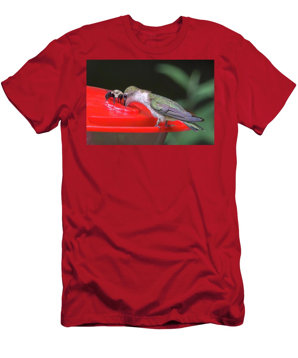 Hummingbirds T-Shirt featuring the photograph Truce by Norman Peay