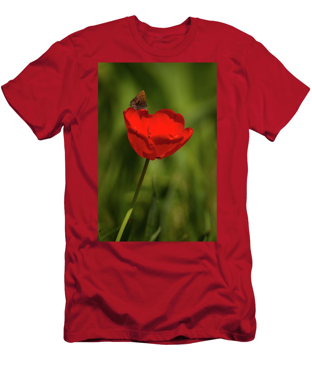 Farm T-Shirt featuring the photograph Tulip and Skipper by Jeff Phillippi