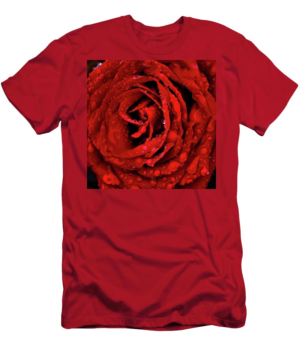 Velvet T-Shirt featuring the photograph Velvet Rose by Shane Bechler