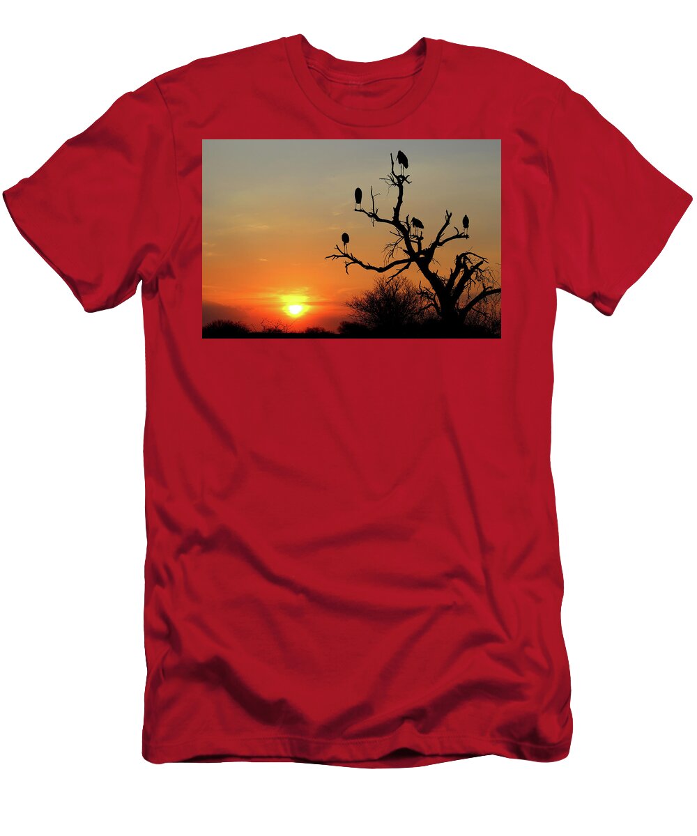  T-Shirt featuring the photograph Watching the Sunset by Eric Pengelly