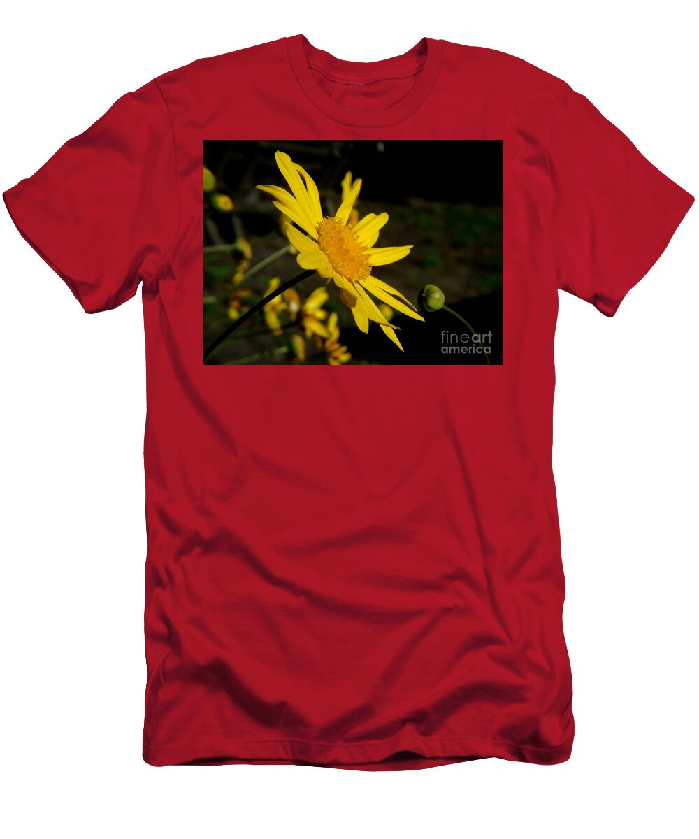 Euryops T-Shirt featuring the photograph Well... this is your future by Silvana Miroslava Albano