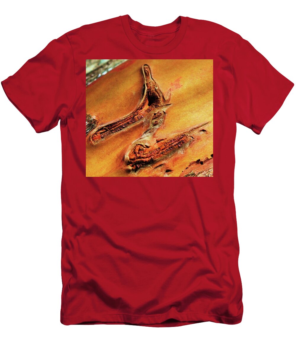 Bark T-Shirt featuring the photograph Zorro was here by Fred Bailey