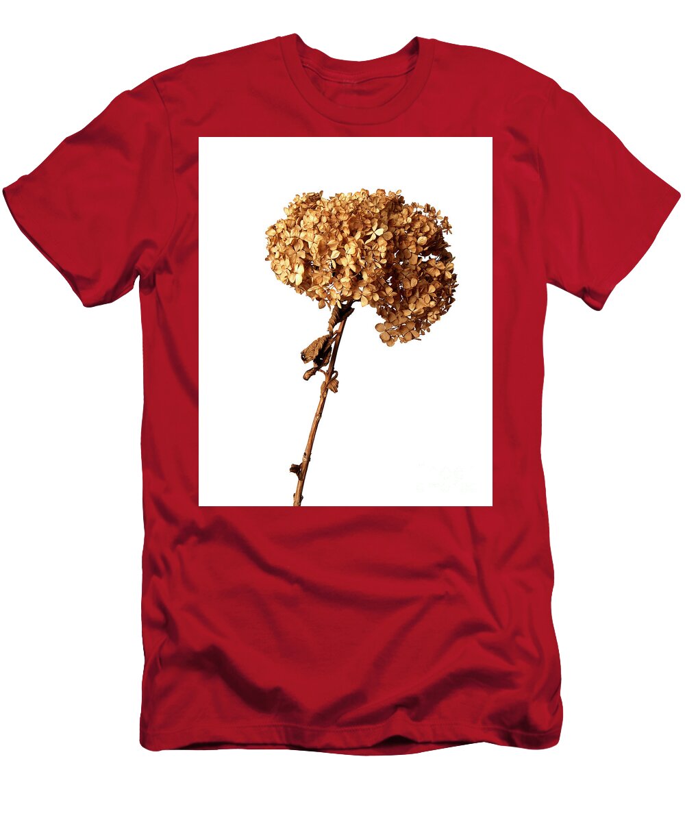 Dry Hydrangea T-Shirt featuring the photograph Dry Hydrangea #1 by Tony Cordoza