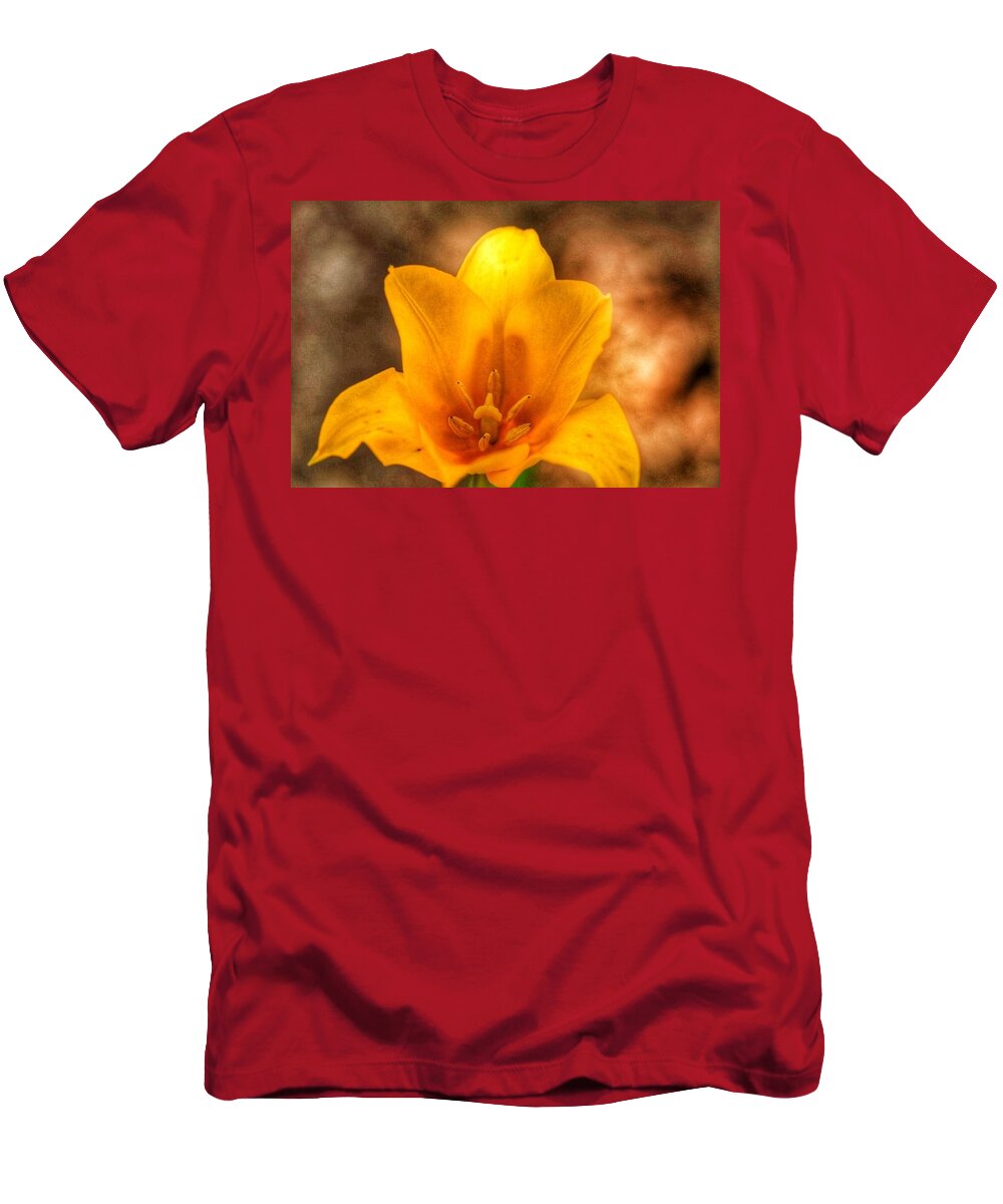  T-Shirt featuring the photograph Golden Hour #1 by Windshield Photography