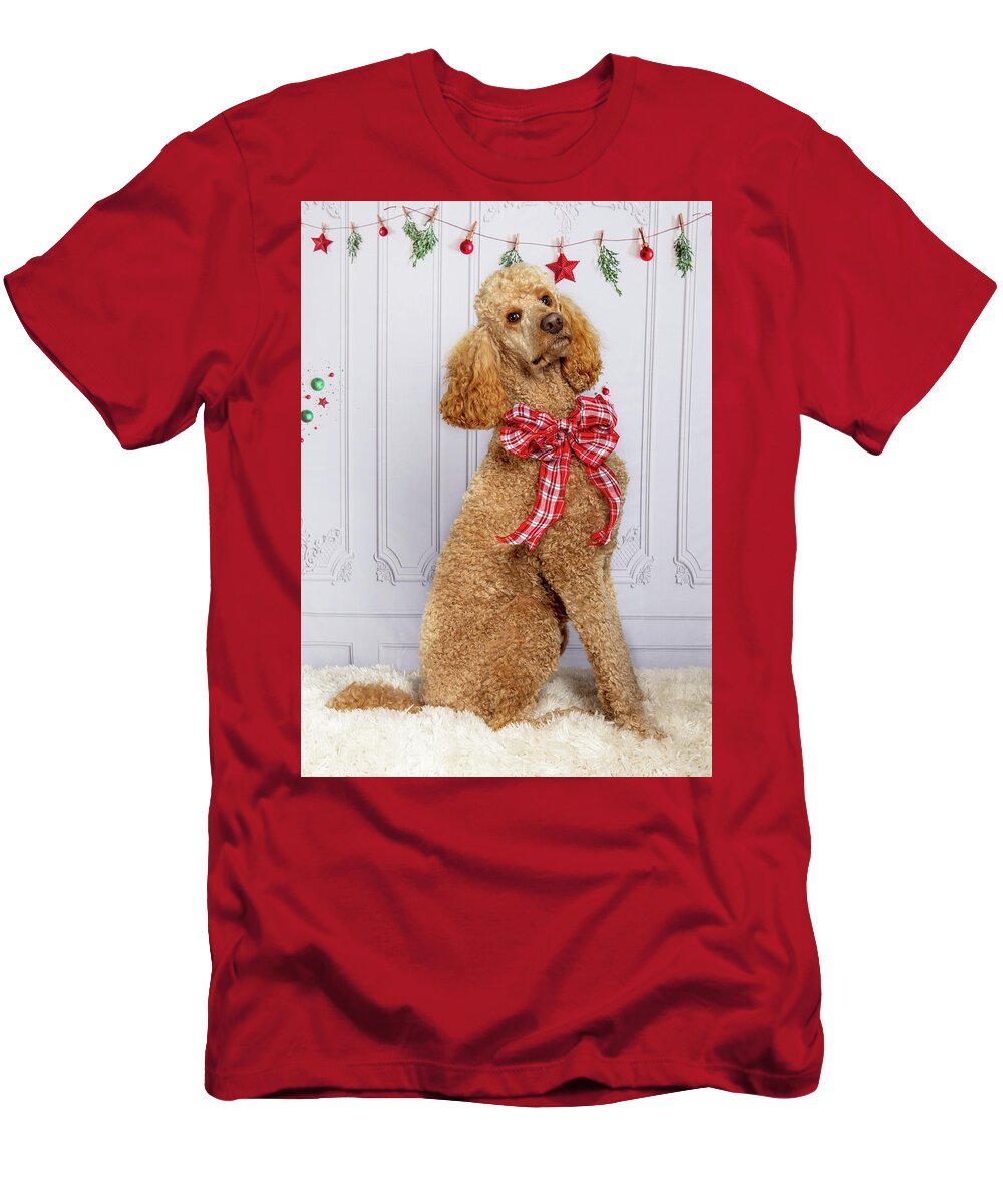 Standard Poodle T-Shirt featuring the photograph Chester 2 #2 by Rebecca Cozart