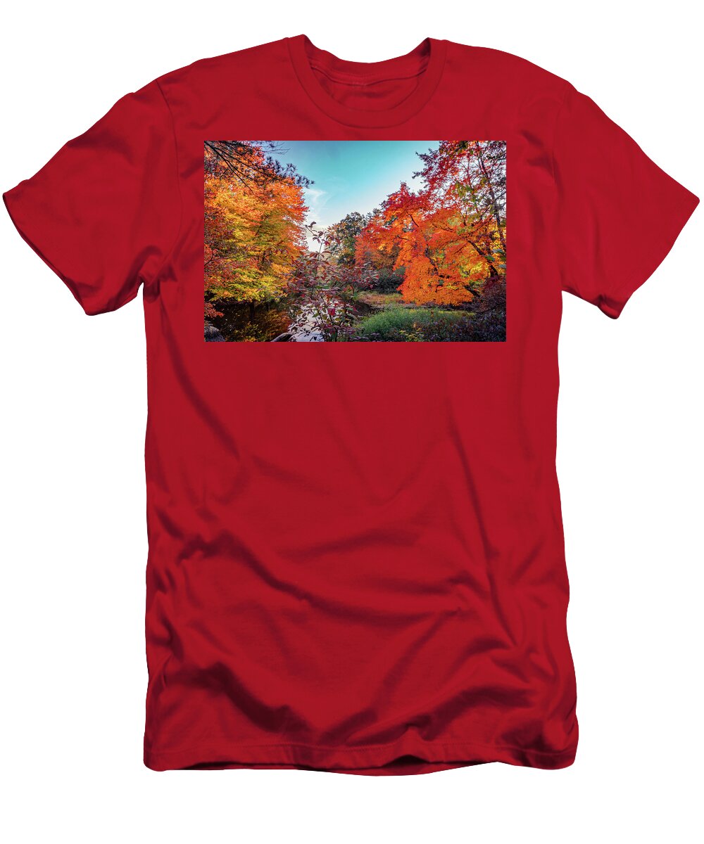 Sunny Farm T-Shirt featuring the photograph Vivid colors of autumn 3 by Lilia S