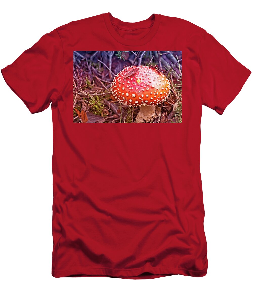 Amanita Muscaria T-Shirt featuring the photograph A Fungus Among Us by David Desautel