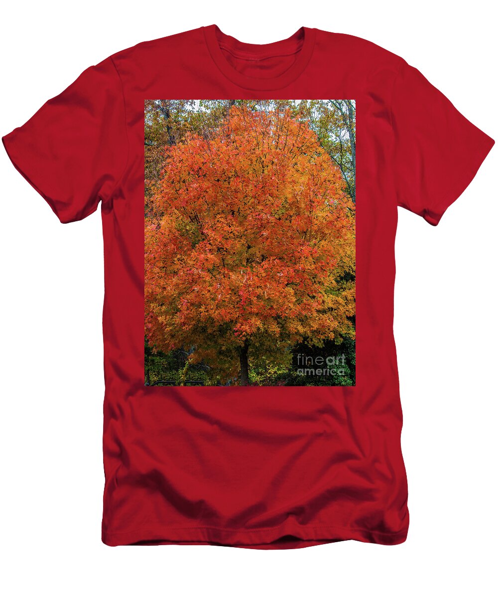 Tree T-Shirt featuring the photograph A Tinge of Red Fall Tree by Roberta Byram