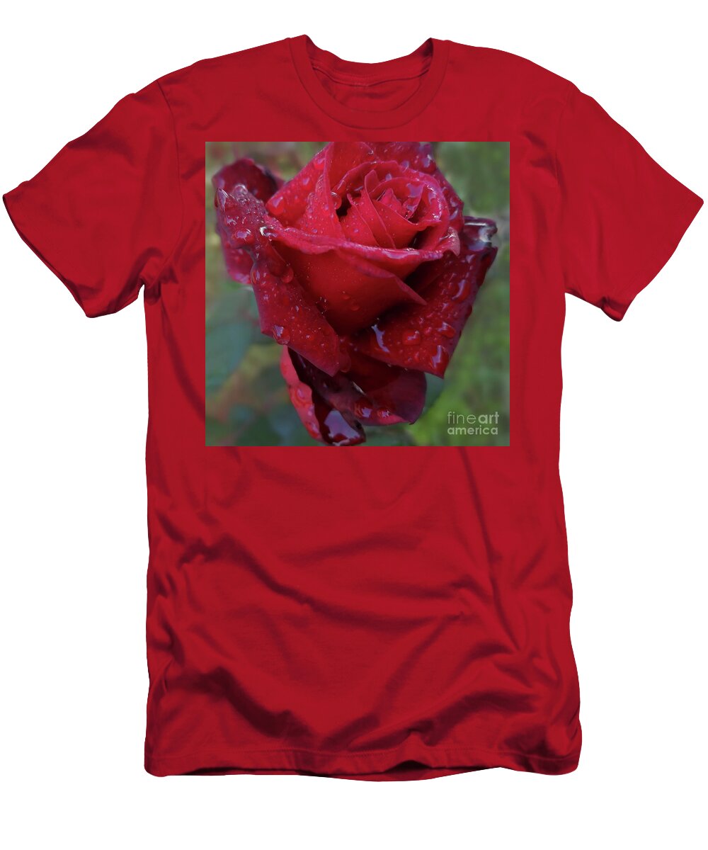 Rain T-Shirt featuring the photograph After Rain Beauty Of Dark Red Rose 03 by Leonida Arte