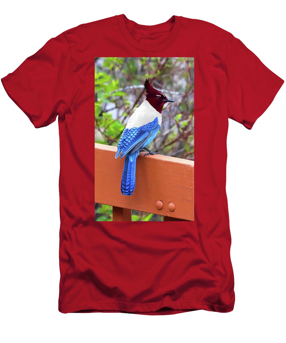 American T-Shirt featuring the photograph American Jay by Shane Bechler