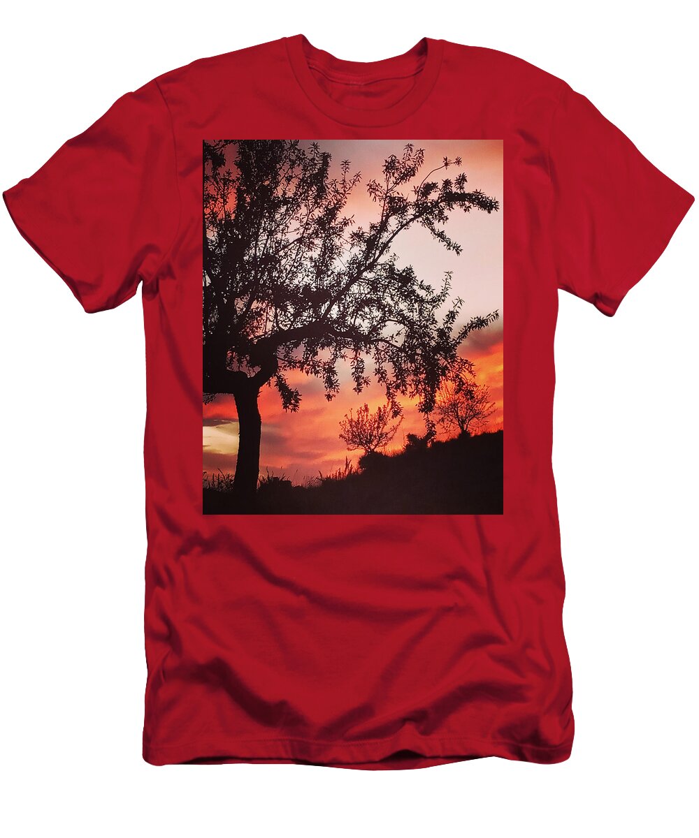 Colette T-Shirt featuring the photograph Beautiful evening in Spain by Colette V Hera Guggenheim
