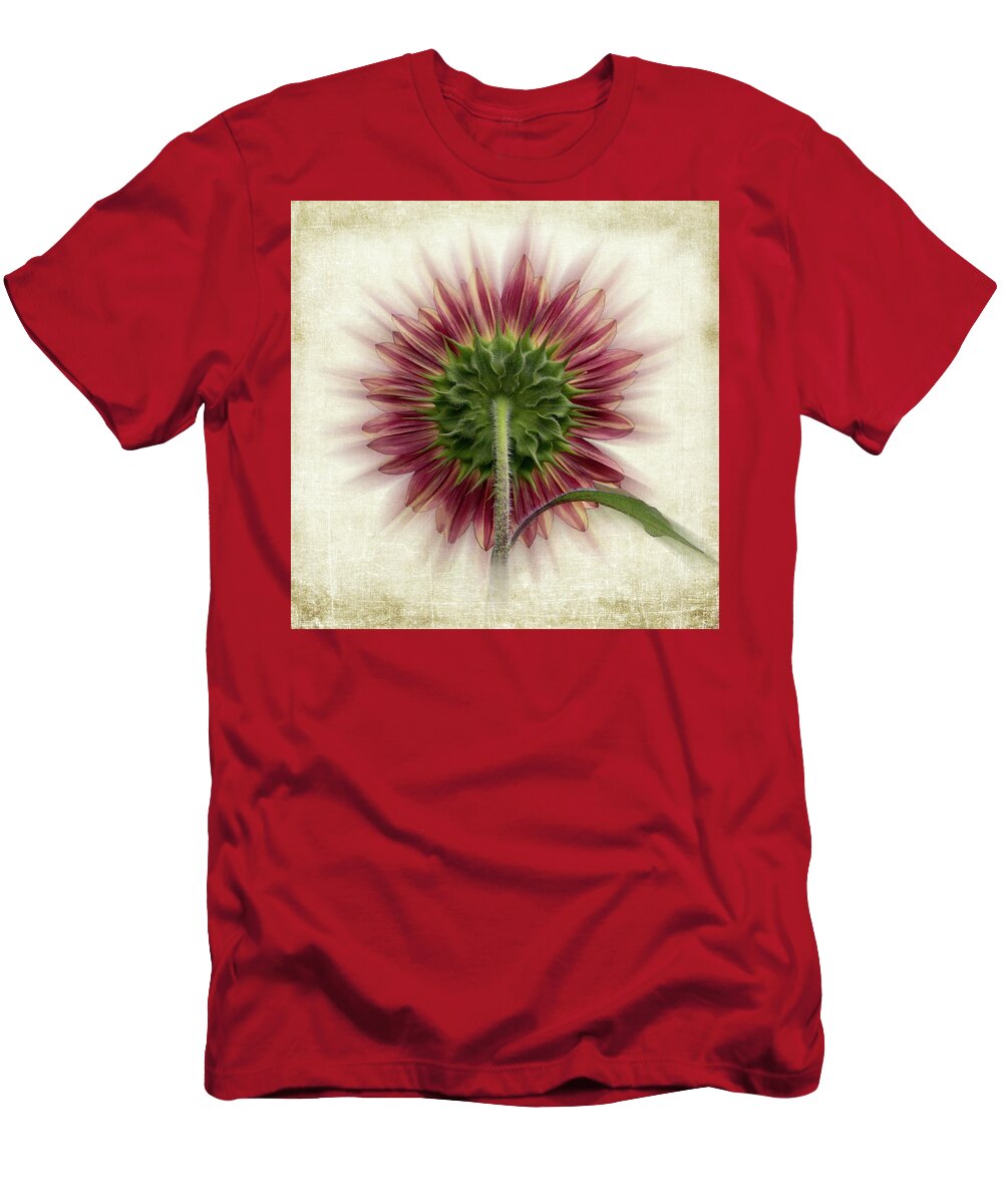 Red Sunflower T-Shirt featuring the photograph Behind the Sunflower by Patti Deters