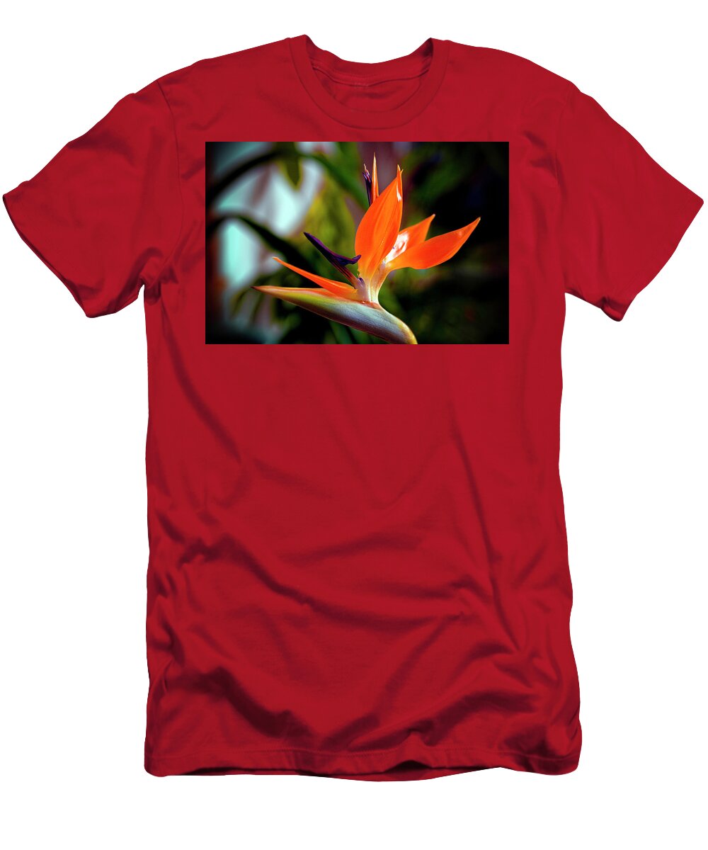 Bird Of Paradise T-Shirt featuring the photograph Bird of Paradise by Greg Reed