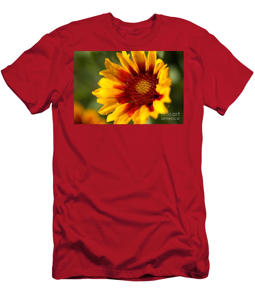 Tickseed T-Shirt featuring the photograph Blanket flower Bright by Joy Watson